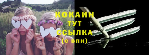 спайс Верея