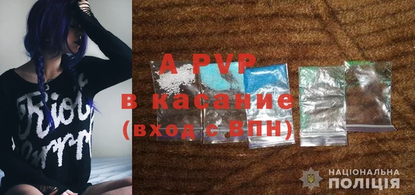 ГАЛЛЮЦИНОГЕННЫЕ ГРИБЫ Бородино