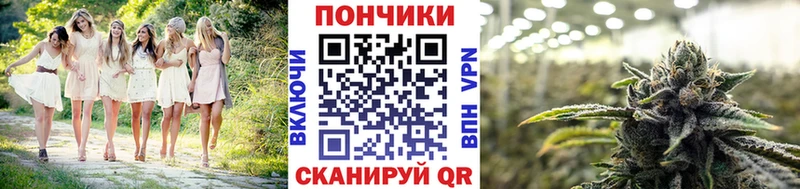 дарнет шоп  Лысково  Канабис планчик 
